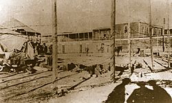 Archivo:Masacre Escuela Santa María Iquique