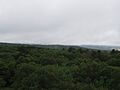 Mont des Avaloirs - Forêt de Multonne 02