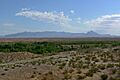 Mormon Mountains from Moapa Valley