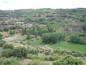 Archivo:Nacimiento del Río Ungría en Fuentes de la Alcarria