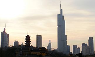 Nanjing Skyline 2010
