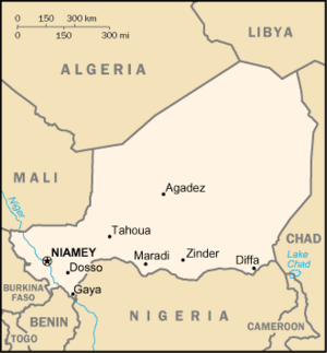 Archivo:Niger sm03
