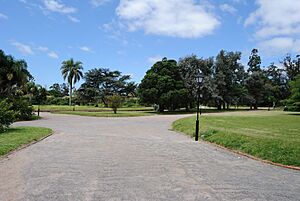 Archivo:PRADO3