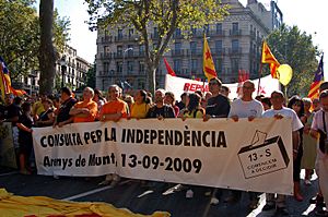 Archivo:Pancarta a favor de la consulta a la diada de Barcelona 2009