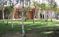 Archivo:Patio de Abedules