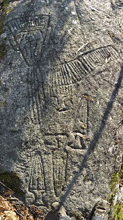 Archivo:Petroglifos do Castrinho de Conxo