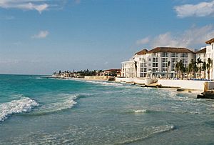 Archivo:Playadelcarmenbeach