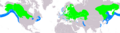 PodicepsGrisegenaIUCNver2019-2