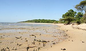 Archivo:Praia de São João - Salvaterra - Ilha do Marajó - Pará