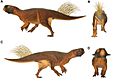 Psittacosaurus model.jpg