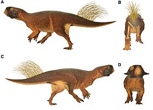 Archivo:Psittacosaurus model
