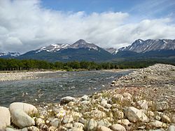 Archivo:Río Pampa en Atilio Viglione (3228086519)