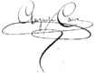 Signature d'Auguste Cain.png