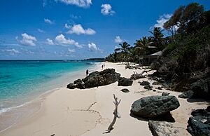 Archivo:Simplicity Beach, Mustique - panoramio