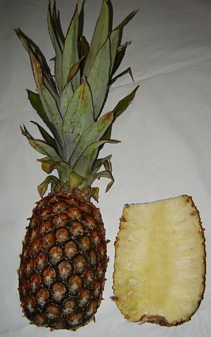Archivo:Split ananas
