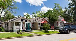 Spring Texas WS (1 of 1).jpg