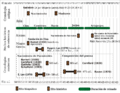 Timeline Hypotesees Parmenides bitrh and composition