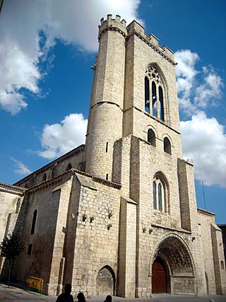 Torre de San Miguel - Palencia (3).jpg