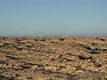 Western sahara landscape