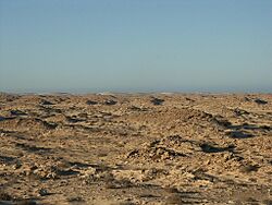Western sahara landscape.jpg