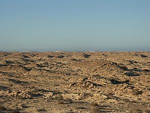 Archivo:Western sahara landscape