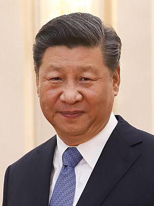 Archivo:Xi Jinping 2019
