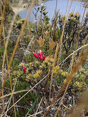Archivo:Yacuri National Park Scene