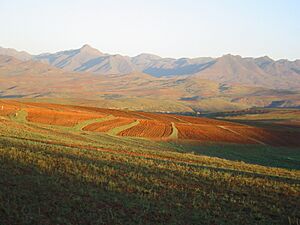 Archivo:African landscape