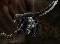 Archivo:Archaeopteryx lithographica by durbed