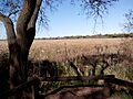 Area de descanso Reserva Ecologica