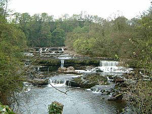 Archivo:Aysgarth Falls (Upper)
