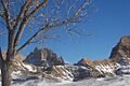 Badlandsnps