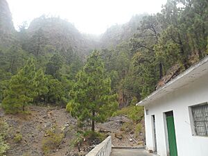 Archivo:Barranco de Amance-Arafo