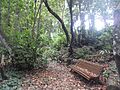 Bosque del Adelantado 2