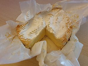 Archivo:Camembert of Normandie made from raw cow’s milk - 2019-02-22