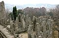 Castell de Guimarães i palau ducal al fons