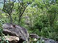 Cerro Mesa Ahumada (18)
