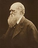 Charles Darwin by Julia Margaret Cameron, c. 1868