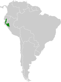 Distribución de Coeligena iris