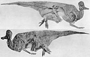 Archivo:Corythosaurus