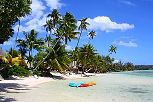 Archivo:DSC00033 Polynésia Moréa island Haapiti Beach (8076090305)