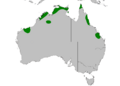 Dasyurus hallucatus distribution map