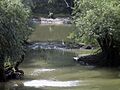 Donaudelta 1