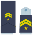 Ejerairedivies13