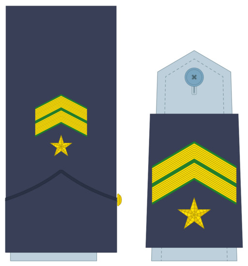 Ejerairedivies13