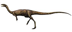 Archivo:Elaphrosaurus