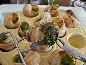 Archivo:Escargots 3