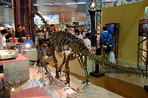 Archivo:Europasaurus adult and juvenile