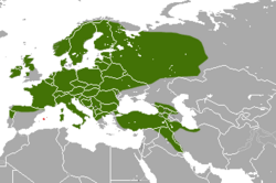 Distribución de la marta (verde) y zona de introducción (rojo)