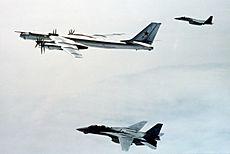 Archivo:F-14 and F-15 Escort Tu-95